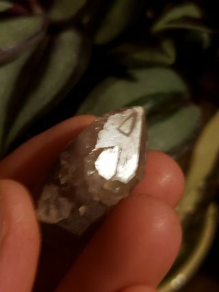 Sweet Double Terminated Lithium Quartz Record Keeper Crystal