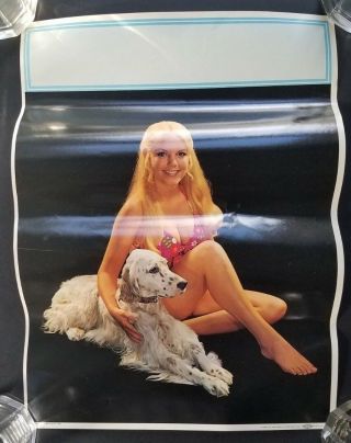 Vintage Salesman Sample 16x12 Pinup Calendar Risque 1974 Sexy Girl Bikini Dog