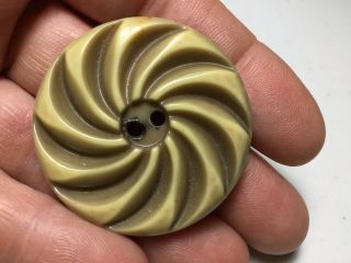 Large Bakelite Button Cream
