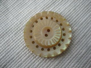 Vintage Medium 7/8 " Carved Pierced Mother Of Pearl Mop,  Shell Button - Pd38
