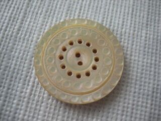 Vintage Medium 7/8 " Carved Mother Of Pearl Mop,  Shell Sew Through Button - Pd17