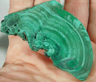 A Neat Pattern On This Deep Green Malachite Slice Or Slab 50.  2gr E