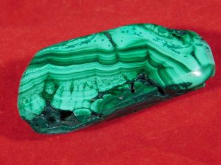 A Neat Pattern On This Solid Polished Malachite Stalactite The Congo 80.  9gr E