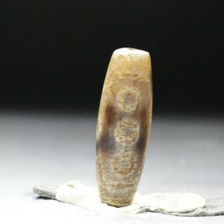 Antique Tibetan Dzi Bead " 7 Eyes " Amulet Pendant From Tibet 15906