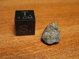 Meteorite Tamdakht,  Chondrite H5 - Fell 20 December 2008,  22:37 Hrs.