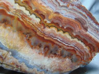 old mexican crazy lace agate slab 3