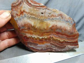 old mexican crazy lace agate slab 5