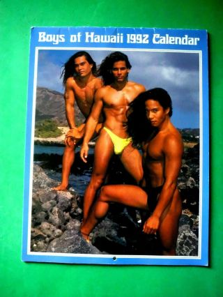 Boys Of Hawaii / 1992 / Christina Werjefelt / Gay Interest