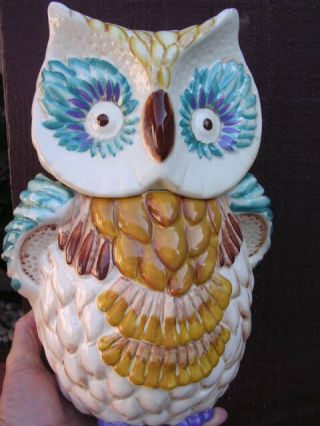 Anthropologie 11 1/2 " Hand - Painted Owl Cookie Jar White Blue Browns Retail $88