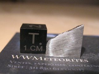 Meteorite Nwa 11106 - Iron (iab - Mg Octahedrite With Low Re,  Ir,  W And Pt Values)