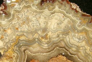 Wild Crazy Lace Agate Slab … Old Time Stock … Mexico