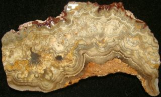 Wild CRAZY LACE AGATE slab … old time stock … Mexico 2