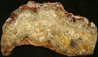 Wild CRAZY LACE AGATE slab … old time stock … Mexico 3