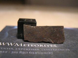 Meteorite Nwa 880 - Chondrite - Classified H3.  9