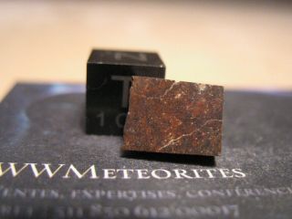 Meteorite Nwa 897 - Early Nwa Era Chondrite (2001) - Chondrite L6