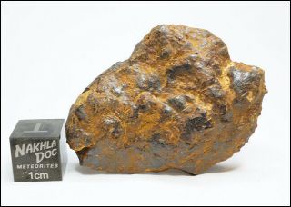 Nantan Iron Meteorite 15.  4 Grams