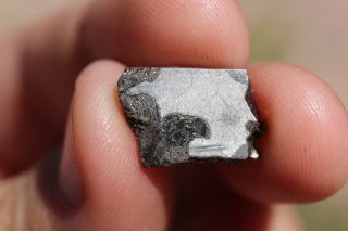 Seymchan Meteorite Part Slice 2.  4 Grams