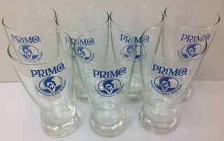 7 Primo Beer Hawaii Glass Cups Vintage 5 1/2 " Tall