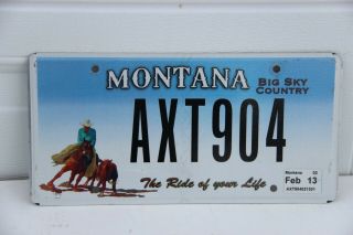 Montana License Plate The Ride Of Your Life Big Sky Country