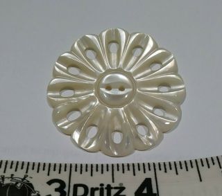 Vintage Mother Of Pearl Button,  Large Carved Pierced 1 - 3/4 "