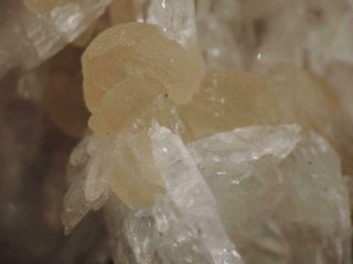 Large Colemanite Crystals On Matrix Display Specimen,  Boron,  California