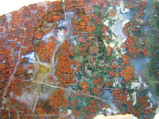 Moss Agate From Indonesia Slab For Cabbing & Polishing
