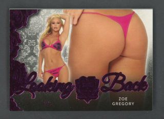 2018 Benchwarmer Pink Foil 25 Years Looking Back Zoe Gregory 2/5