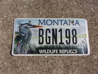 Montana Wildlife Crane License Plate Bgn 198