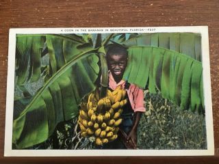Black Americana Vintage Postcard - A Coon In The Bananas Fl