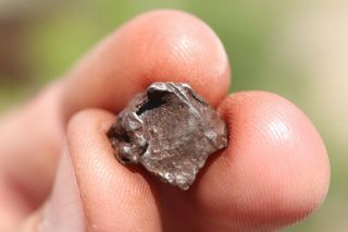 Sikhote Alin Meteorite Individual 2 Grams