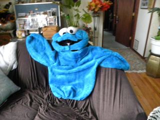 Cookie Monster Costume Large Child Or Small Adult Bust 38