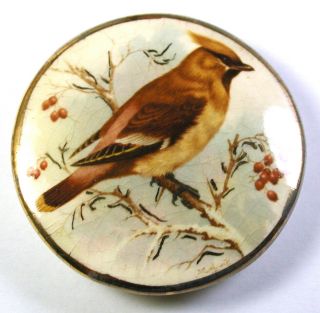 Vintage Ceramic Studio Button Bird Perched On Snowy Branch W/ Gold Luster 2 "
