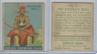 R73 Goudey,  Indian Gum,  Series 48 Blue Stripe,  1933,  36 The Buffalo Bull