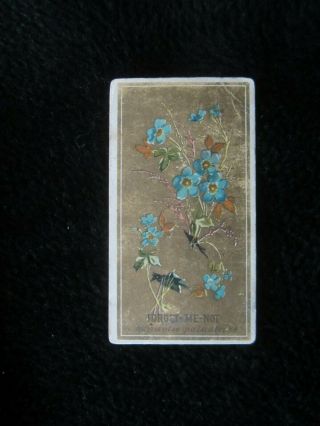N164 Goodwin Old Judge Cigarettes,  Flowers - 1890 - " Forget - Me - Not "