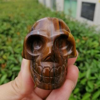 148g Natural Tiger - Eye Stone Skull Figurine Reiki Healing Fca350
