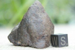 Nwa Unclassified Meteorite 80.  3 Grams Windowed With No Metal And Some Lines