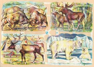 Vintage Die Cut Scraps Sheet Ws 644 With Glitter Wild Animals