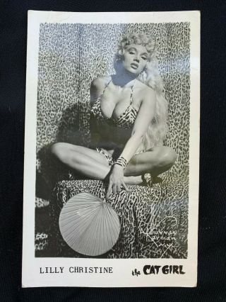 Vtg 1950 Burlesque Superstar Lilly Christine Pin - Up Photograph Postcard Cat Girl