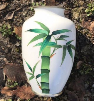 Japanese Lucky Bamboo White Cloisonne Enamel Silver Wire Vase 1950 