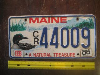 License Plate,  Maine,  Spcl Series A Natural Treasure,  00,  Loon (bird),  44009