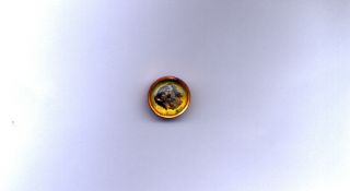 (29) ( (a Shaggy Dog Watch Crystal Button))  ( (vintage,  Victorian,  Antique, ))