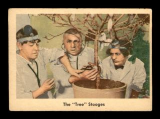 1959 Fleer Three Stooges 26 The Tree Stooges Vgex X1710543