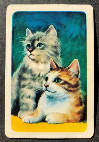 Vintage Woolworths Swap Card - 2 Sweet Kittens / Cats - Blank Back
