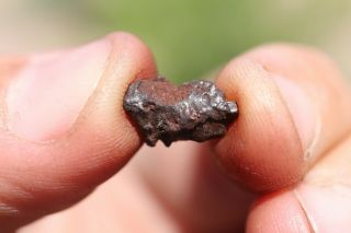 Sikhote Alin Meteorite Individual.  6 Grams