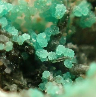 Alumo - Chalcosiderite Crystals From Rare Locality Schneckenstein,  Germany
