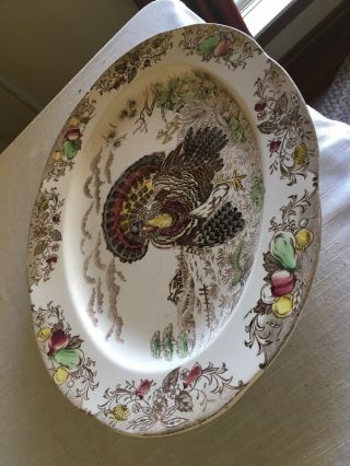 Vintage Turkey Platter 18x14 3