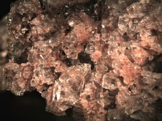 Newberyite Rare Mineral Micromount From Australia