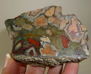 Jasper Rainforest Faced Rough Stone Brazil 150 Grams