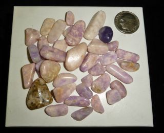 Prairie Tanzanite Crystal Tumbled Chakra Stones Wyoming 31 Grams