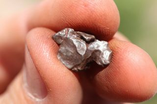 Sikhote Alin Meteorite Individual 1 Grams